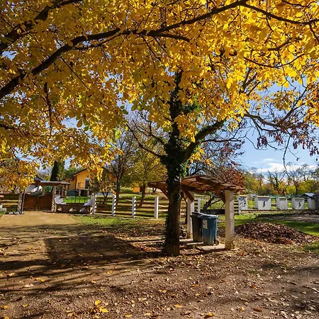 بيت ضيافة Non Stop 1 Kaposvár